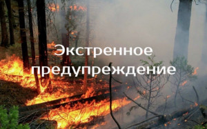 nlff8oo2jja_ilrfilg8kndqtyxwugyz1gvirxsvhusp_-5aib0ledi1_owr_ci7orj6-jousa6rrdxosbpqrozg_1_0